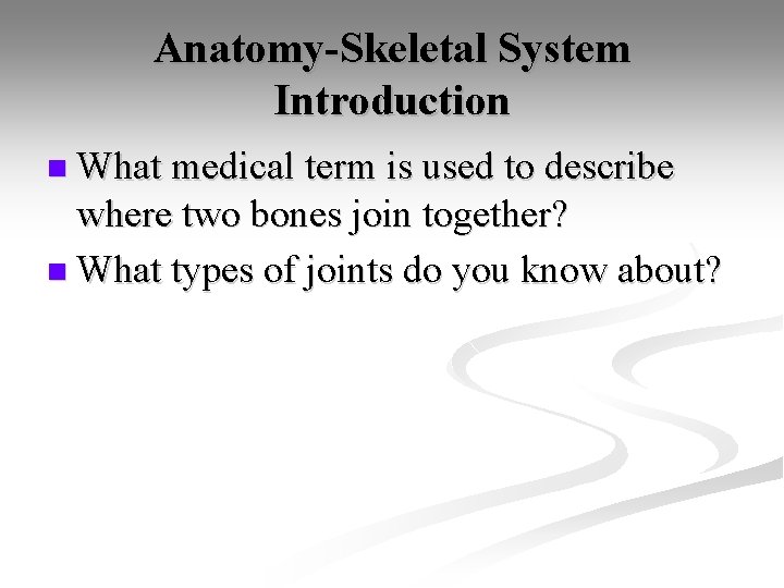 Anatomy-Skeletal System Introduction n What medical term is used to describe where two bones