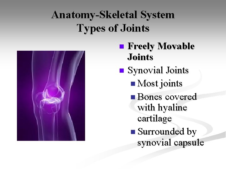 Anatomy-Skeletal System Types of Joints Freely Movable Joints n Synovial Joints n Most joints