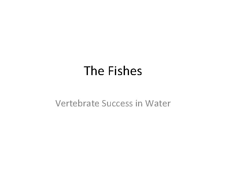 The Fishes Vertebrate Success in Water 