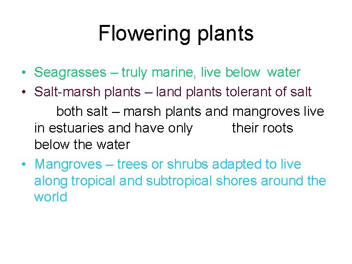 Flowering plants • Seagrasses – truly marine, live below water • Salt-marsh plants – Flowering plants • Seagrasses – truly marine, live below water • Salt-marsh plants –