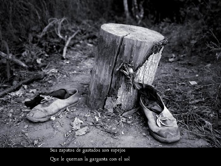 Sus zapatos de gastados son espejos Que le queman la garganta con el sol