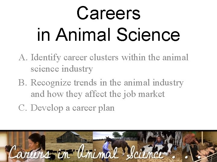 Careers in Animal Science A. Identify career clusters within the animal science industry B.