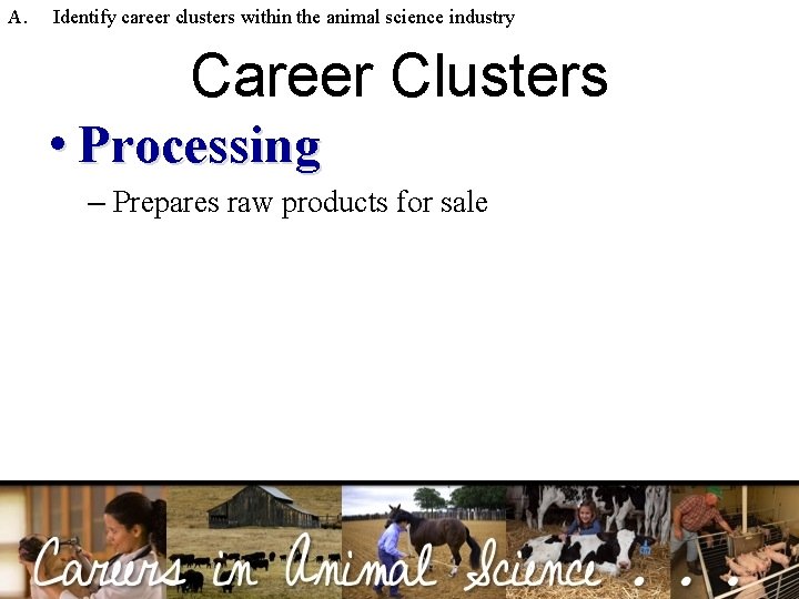 A. Identify career clusters within the animal science industry Career Clusters • Processing –