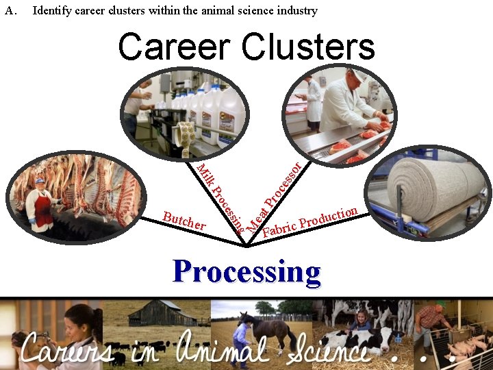 Identify career clusters within the animal science industry n ctio u d o r