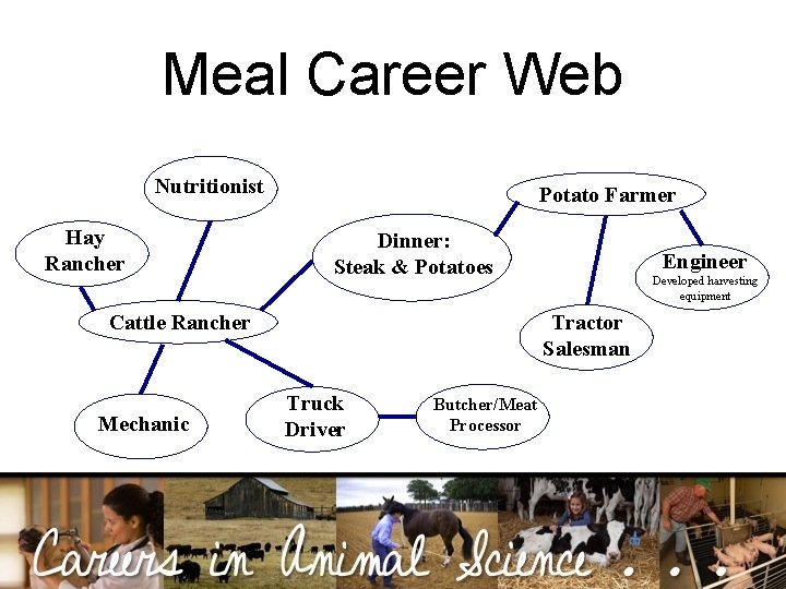 Meal Career Web Nutritionist Hay Rancher Potato Farmer Dinner: Steak & Potatoes Cattle Rancher