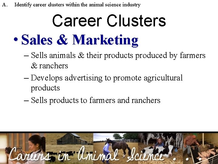 A. Identify career clusters within the animal science industry Career Clusters • Sales &