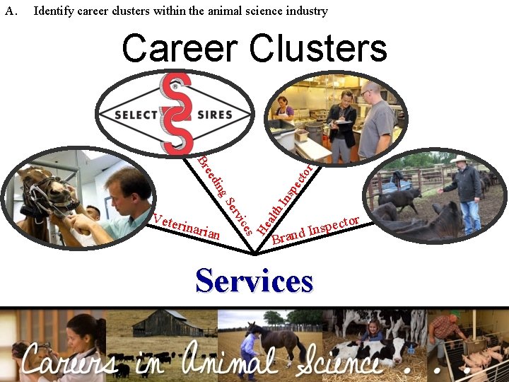 Identify career clusters within the animal science industry Career Clusters ing ns pe cto