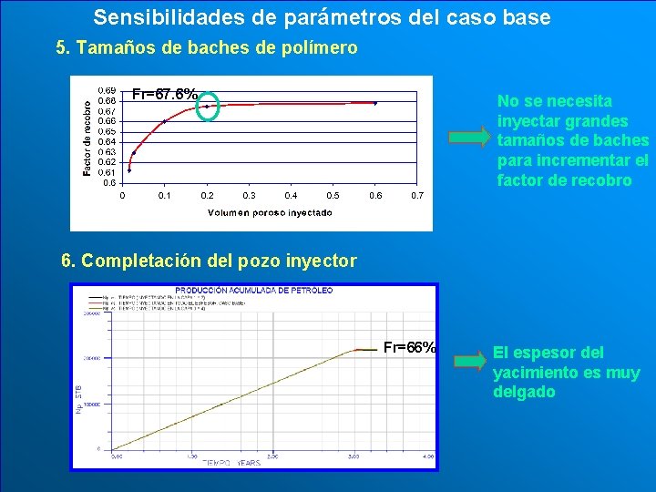 Sensibilidades de parámetros del caso base 5. Tamaños de baches de polímero Fr=67. 6%