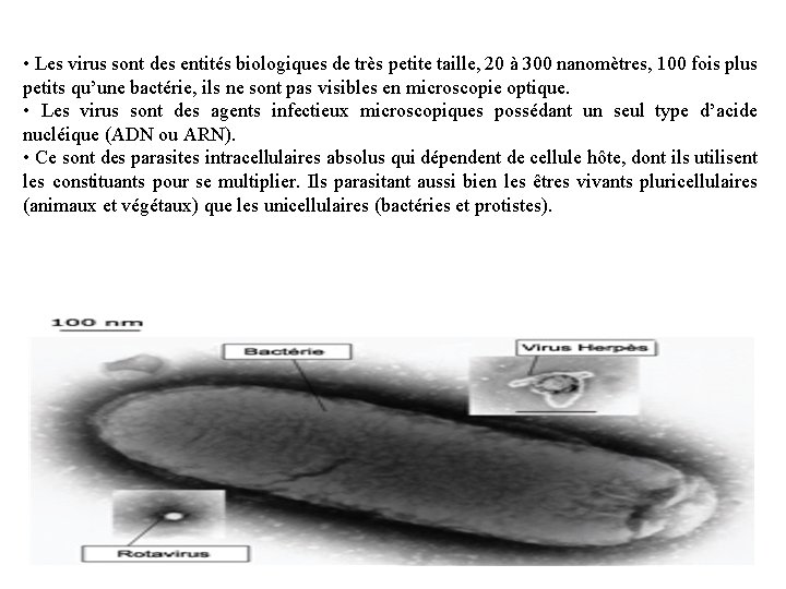  • Les virus sont des entités biologiques de très petite taille, 20 à