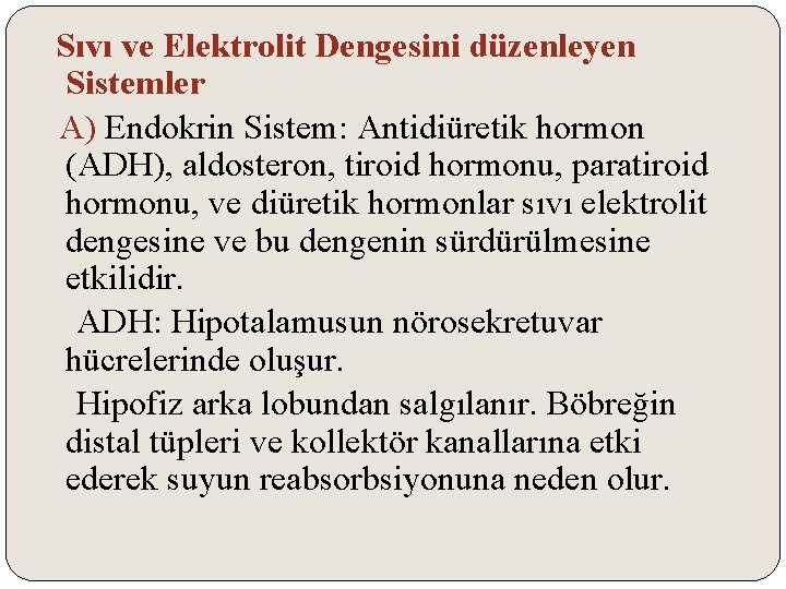 Sıvı ve Elektrolit Dengesini düzenleyen Sistemler A) Endokrin Sistem: Antidiüretik hormon (ADH), aldosteron, tiroid