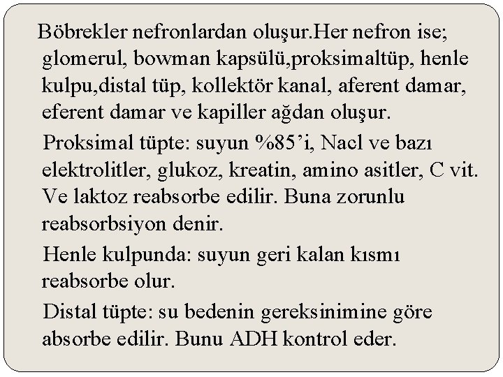 Böbrekler nefronlardan oluşur. Her nefron ise; glomerul, bowman kapsülü, proksimaltüp, henle kulpu, distal tüp,