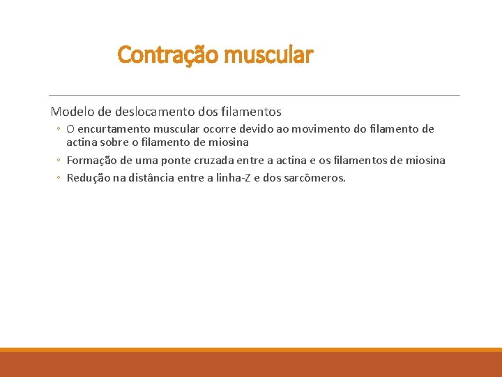 Contração muscular Modelo de deslocamento dos filamentos ◦ O encurtamento muscular ocorre devido ao