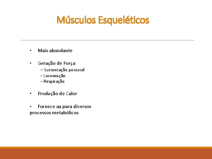 Músculos Esqueléticos • Mais abundante • Geração de Força – Sustentação postural – Locomoção