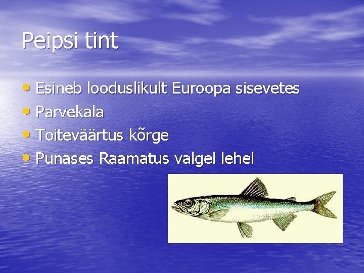 Peipsi tint • Esineb looduslikult Euroopa sisevetes • Parvekala • Toiteväärtus kõrge • Punases