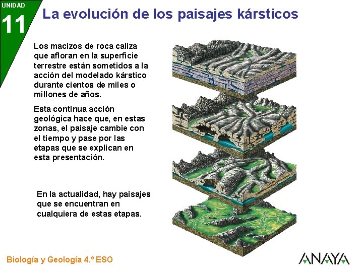 UNIDAD 11 3 La evolución de los paisajes kársticos Los macizos de roca caliza UNIDAD 11 3 La evolución de los paisajes kársticos Los macizos de roca caliza