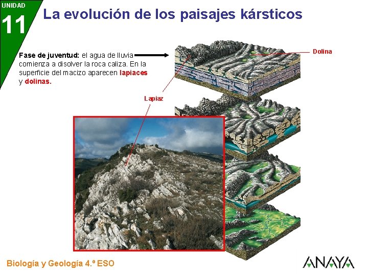 UNIDAD 11 3 La evolución de los paisajes kársticos Fase de juventud: el agua UNIDAD 11 3 La evolución de los paisajes kársticos Fase de juventud: el agua