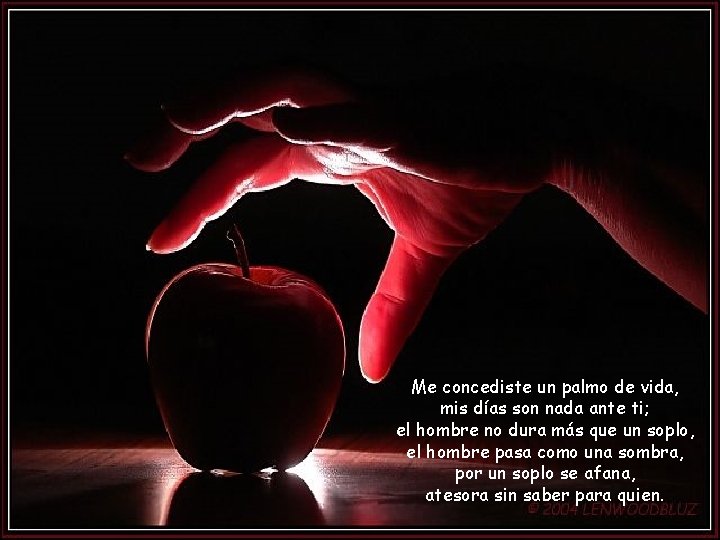 Me concediste un palmo de vida, mis días son nada ante ti; el hombre