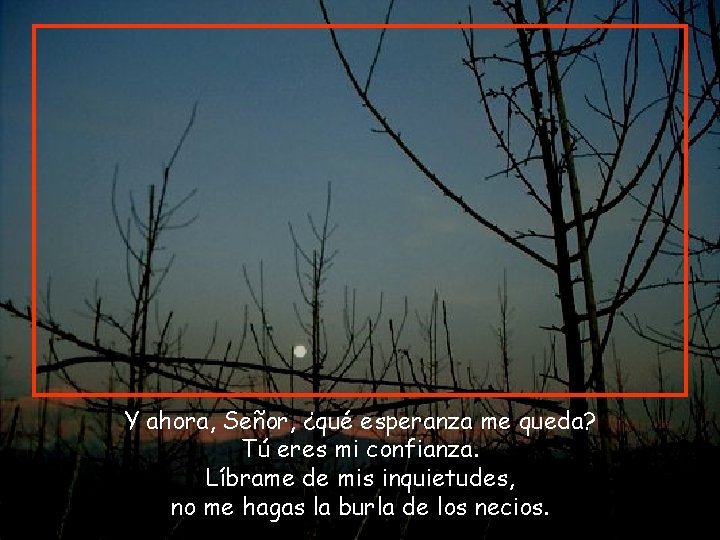 Y ahora, Señor, ¿qué esperanza me queda? Tú eres mi confianza. Líbrame de mis