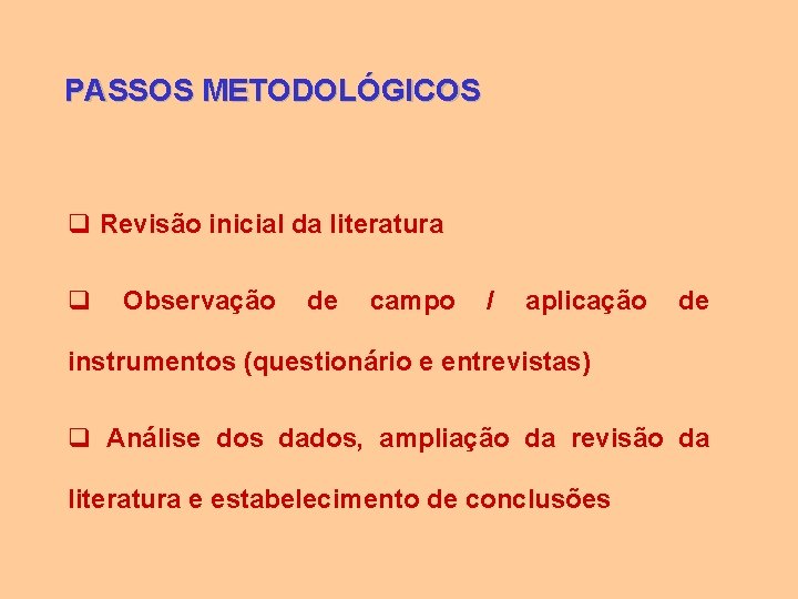 PASSOS METODOLÓGICOS q Revisão inicial da literatura q Observação de campo / aplicação de