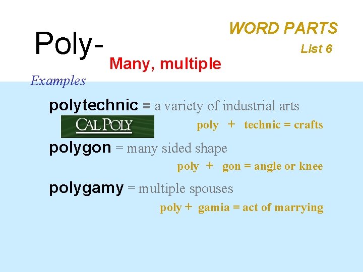 Poly- Many, multiple WORD PARTS List 6 Examples polytechnic = a variety of industrial