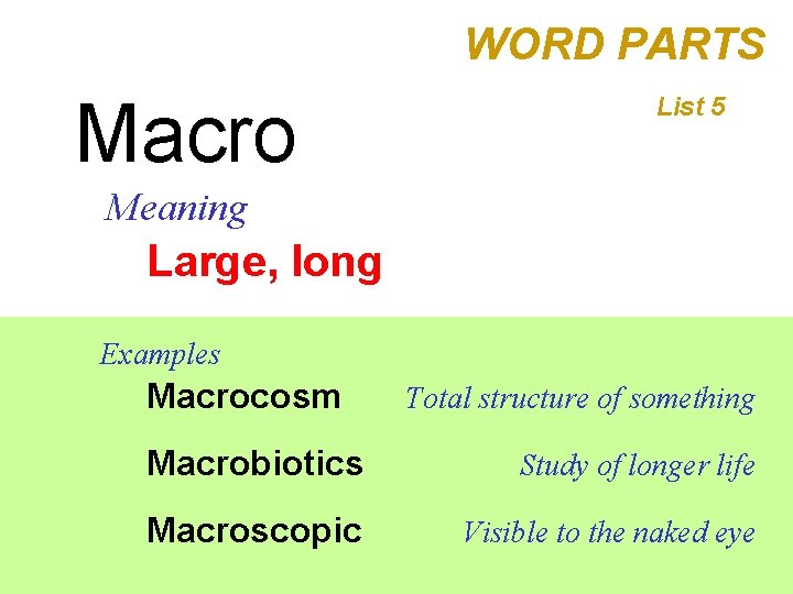 WORD PARTS Macro List 5 Meaning Large, long Examples Macrocosm Total structure of something
