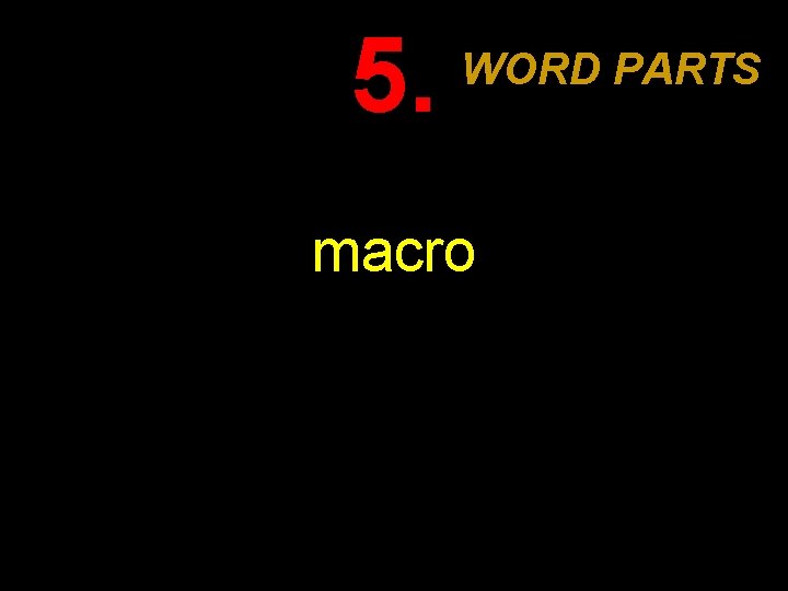 5. WORD PARTS macro 