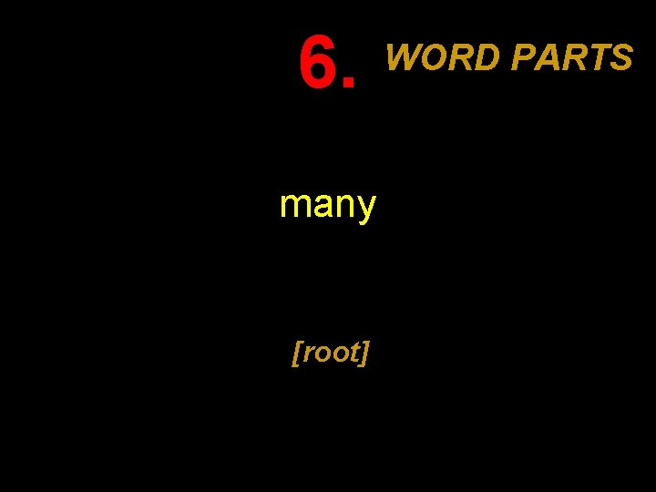 6. many [root] WORD PARTS 