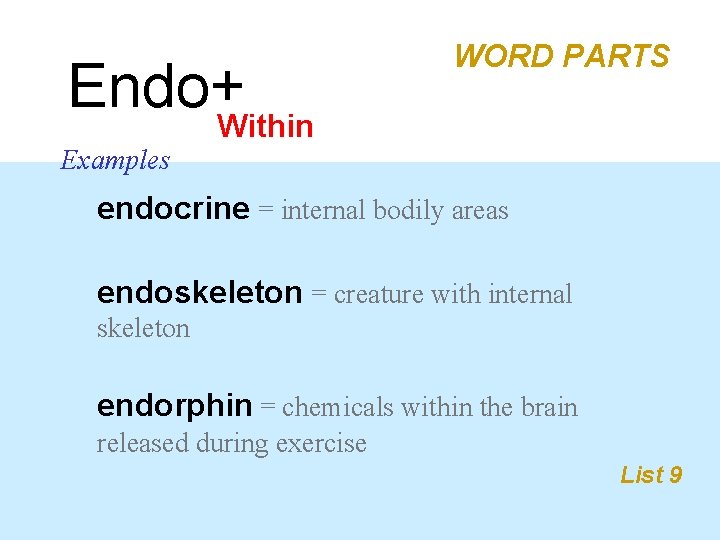 Endo+Within WORD PARTS Examples endocrine = internal bodily areas endoskeleton = creature with internal