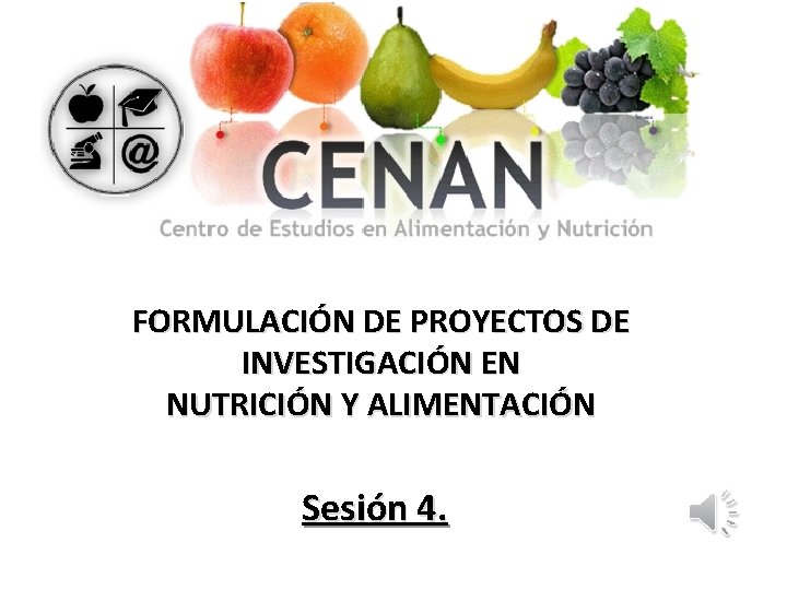FORMULACIÓN DE PROYECTOS DE INVESTIGACIÓN EN NUTRICIÓN Y ALIMENTACIÓN Sesión 4. 