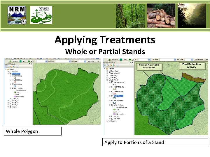 Applying Treatments Whole or Partial Stands Whole Polygon Apply to Portions of a Stand