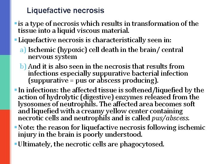 Liquefactive necrosis § is a type of necrosis which results in transformation of the
