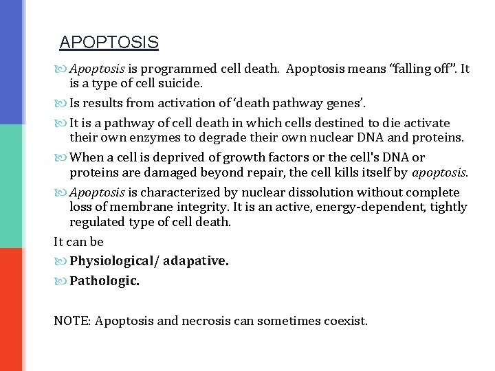 APOPTOSIS Apoptosis is programmed cell death. Apoptosis means “falling off”. It is a type