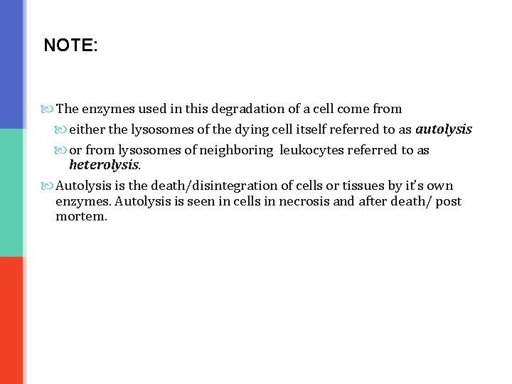 NOTE: The enzymes used in this degradation of a cell come from either the