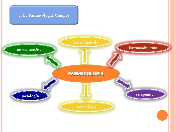 3. La Farmacología: Campos farmacognosia farmacodinamia farmacocinética FARMACOLOGÍA terapéutica posología toxicología 