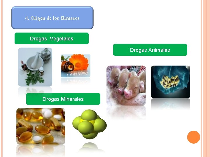 4. Origen de los fármacos Drogas Vegetales Drogas Animales Drogas Minerales 