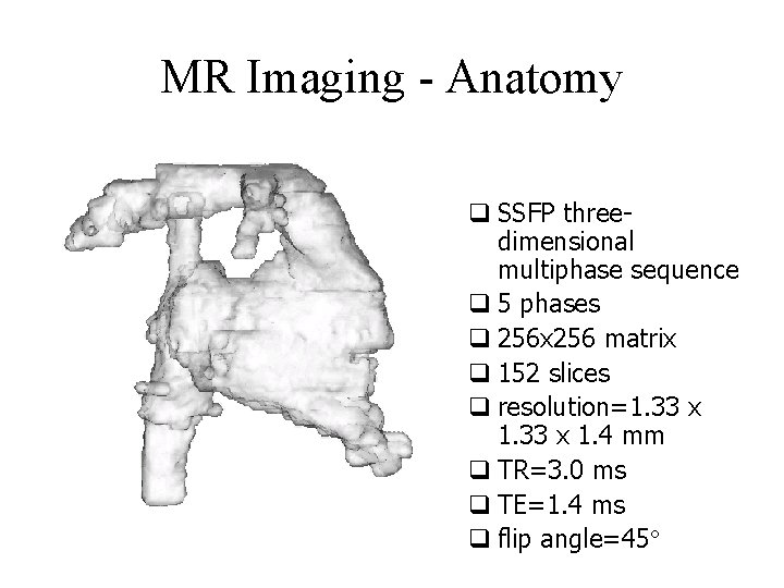 MR Imaging - Anatomy q SSFP threedimensional multiphase sequence q 5 phases q 256