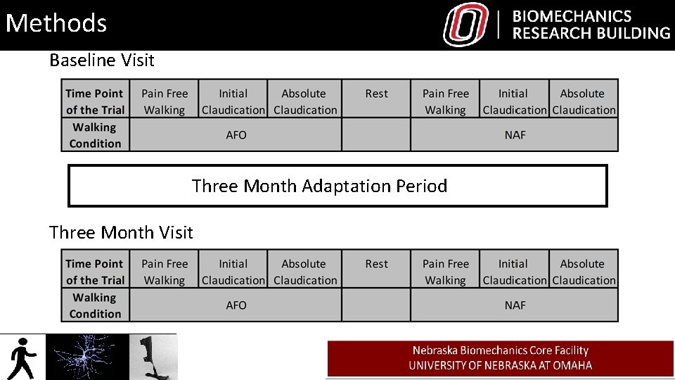 Methods Baseline Visit Three Month Adaptation Period Three Month Visit 