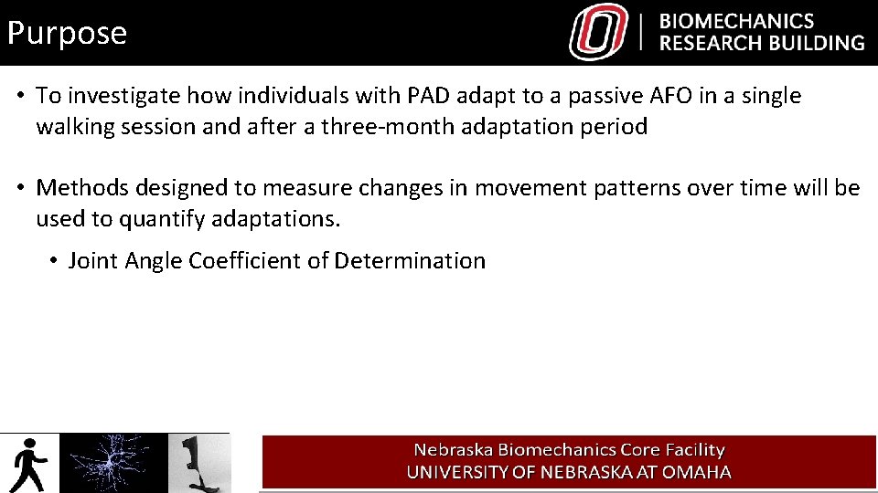 Purpose • To investigate how individuals with PAD adapt to a passive AFO in