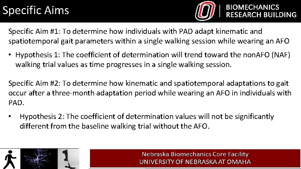 Specific Aims Specific Aim #1: To determine how individuals with PAD adapt kinematic and