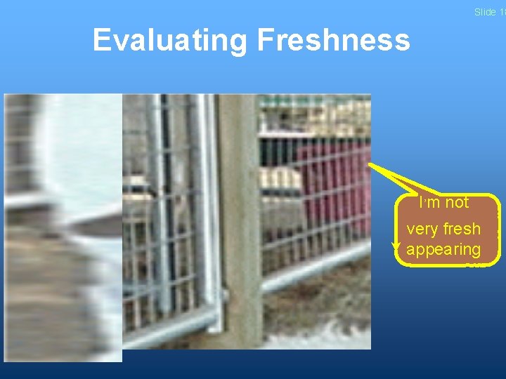 Slide 18 Evaluating Freshness I’m not very fresh appearing Slide 18 Evaluating Freshness I’m not very fresh appearing