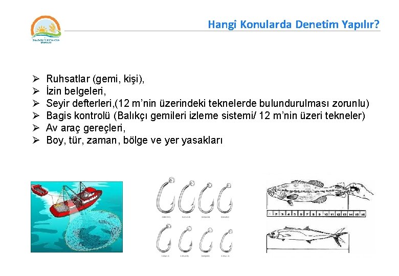 Hangi Konularda Denetim Yapılır? Ø Ø Ø Ruhsatlar (gemi, kişi), İzin belgeleri, Seyir defterleri,