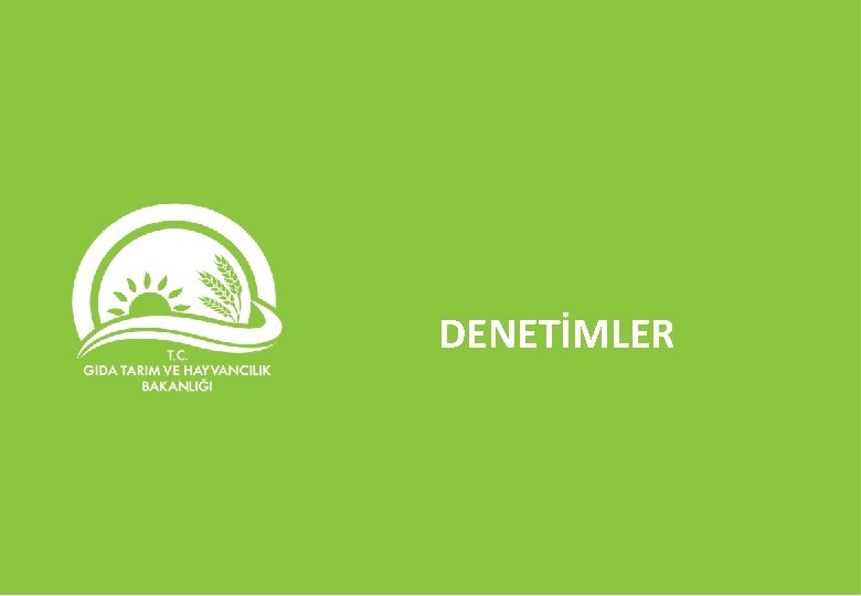 DENETİMLER 