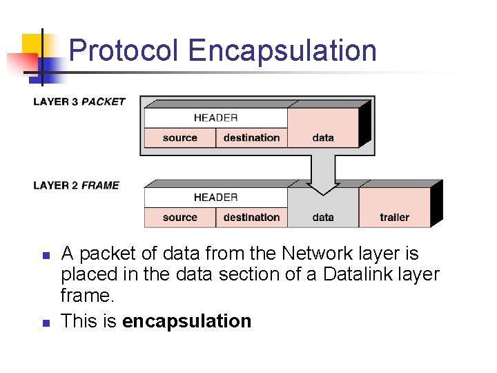 Protocol Encapsulation n n A packet of data from the Network layer is placed