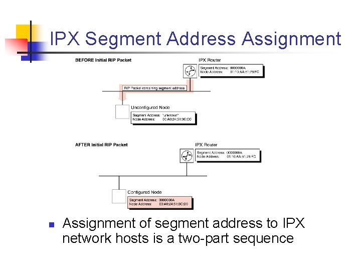 IPX Segment Address Assignment n Assignment of segment address to IPX network hosts is