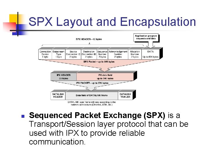 SPX Layout and Encapsulation n Sequenced Packet Exchange (SPX) is a Transport/Session layer protocol
