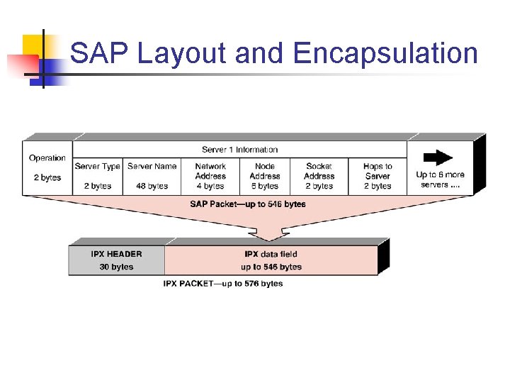 SAP Layout and Encapsulation 