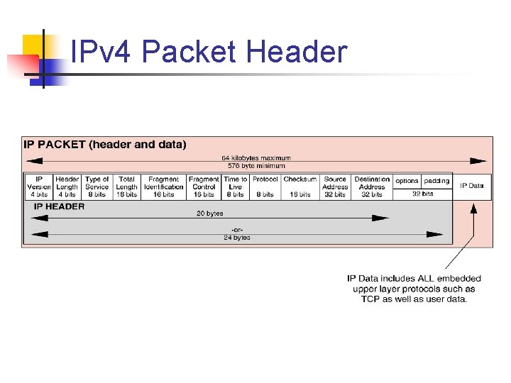 IPv 4 Packet Header 