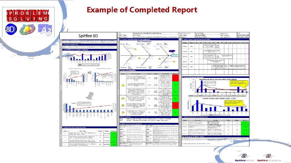 Example of Completed Report 