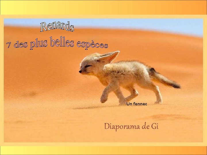 Un fennec Diaporama de Gi 