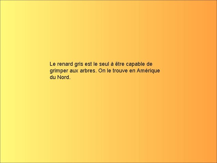 Le renard gris est le seul à être capable de grimper aux arbres. On